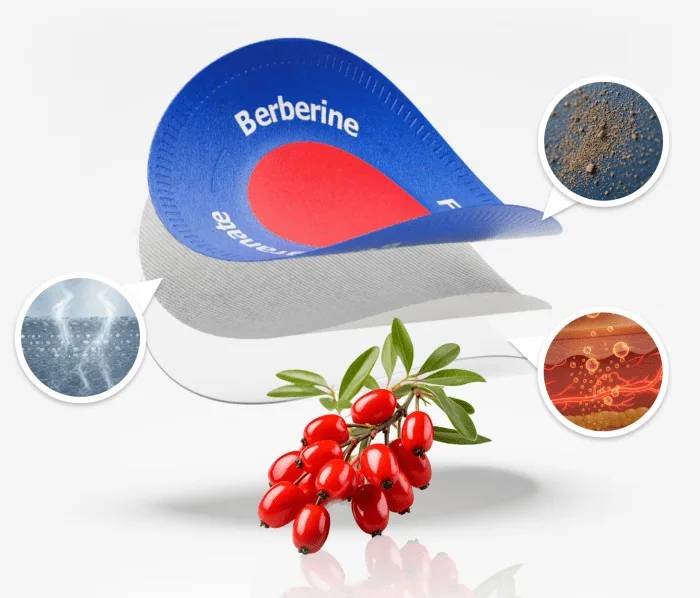 Purisaki Berberine Patch — How It Works and Ingredients Overview